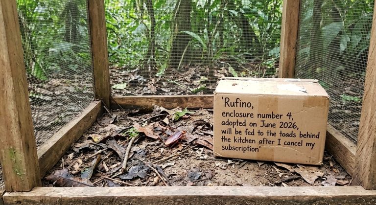 A hand-lettered sign naming a cockroach Rufino, propped inside a mesh rainforest enclosure