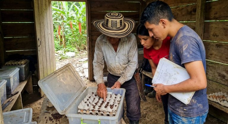 Three people at the cockroach farm checking an open breeding bin and writing the count into a notebook